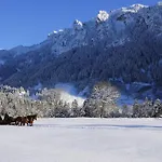 King Ludwig's Old Neighbour